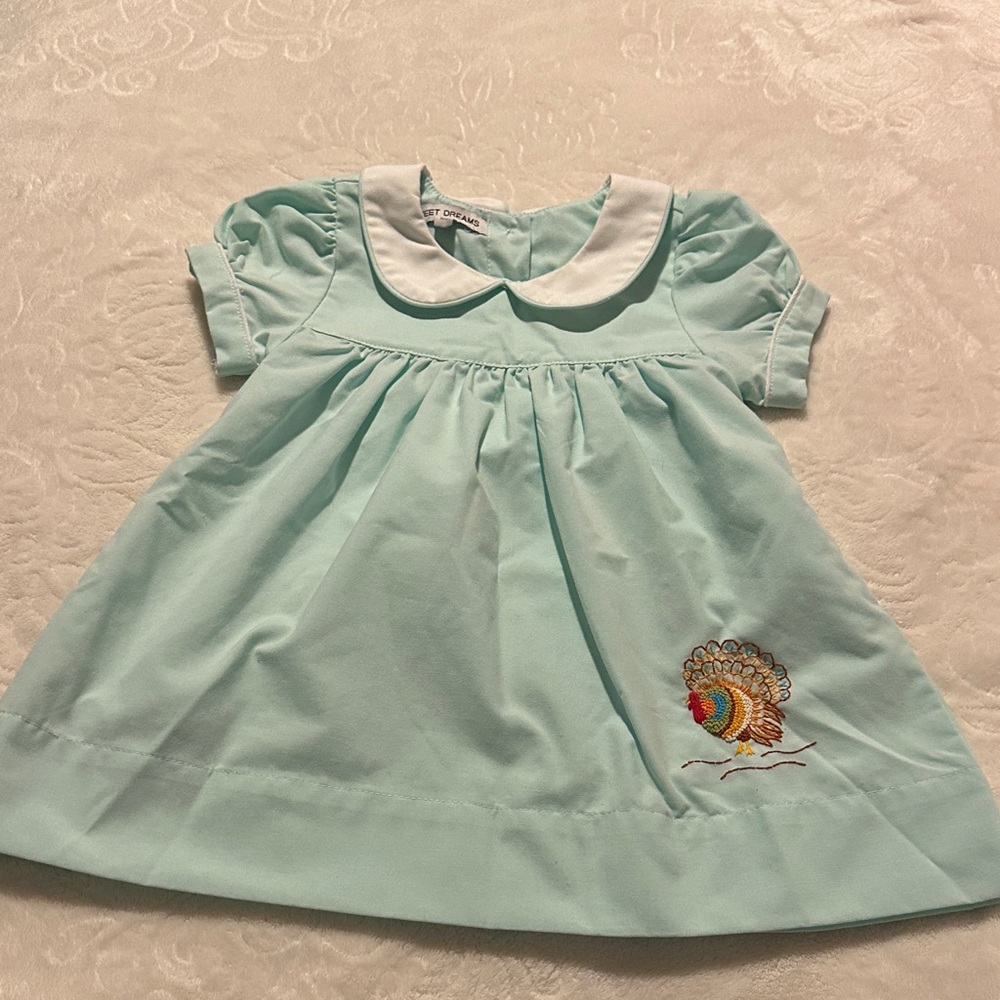 Sweet Dreams Thanksgiving Dress with Turkey Embroidery size 18m